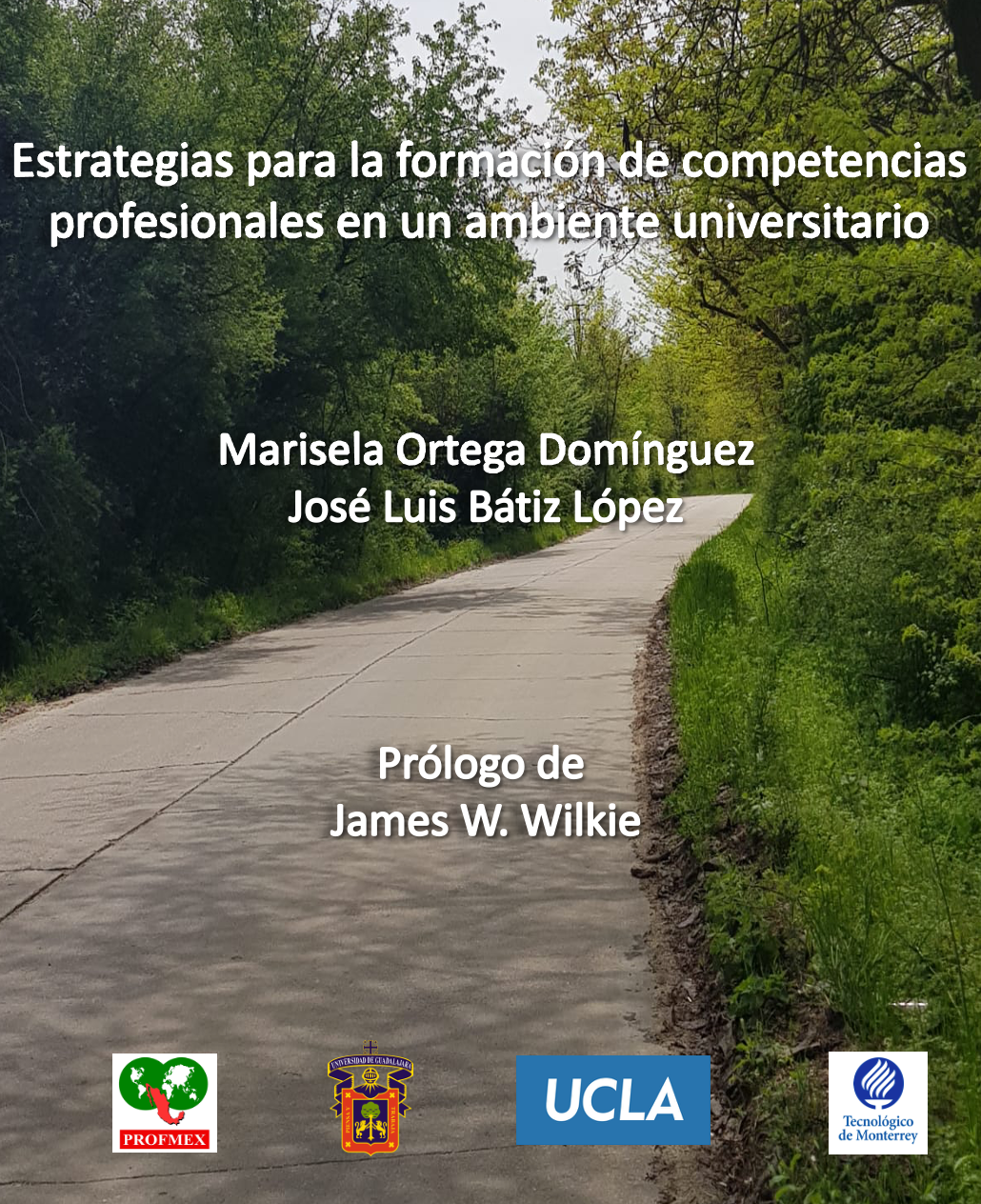 Estrategias_para_la_formacion_de_competencias